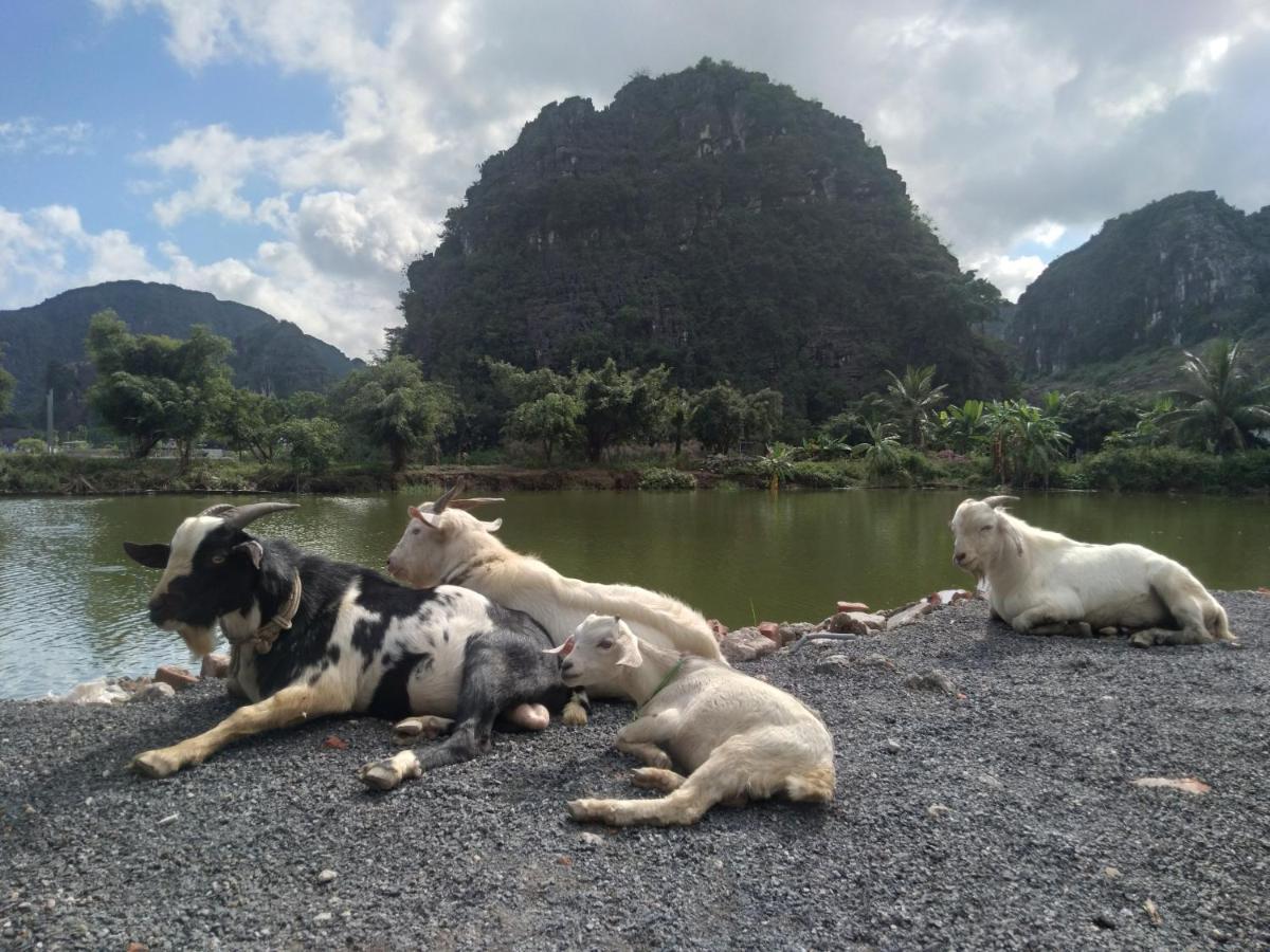 Ali Homestay Ninh Binh Exterior foto